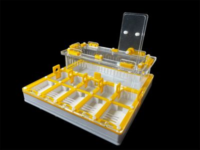Профессиональная муравьиная ферма 20x20 см. гипс Г23, нейлоновые болты