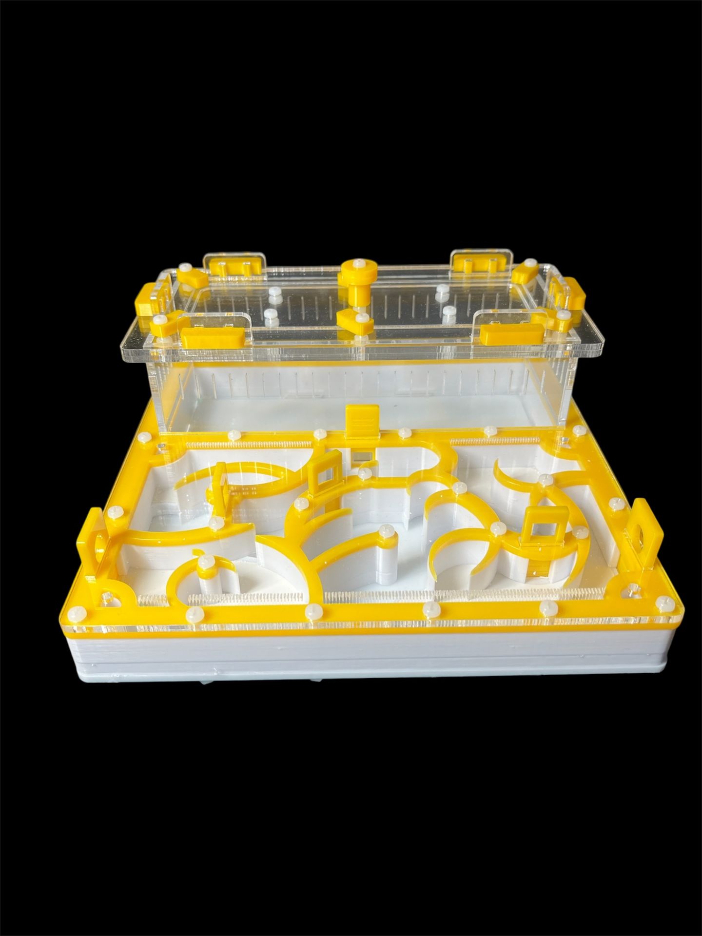 Професійна ферма для мурах 20х20 см. Гіпсова основа, ідеально для Camponotus та Messor