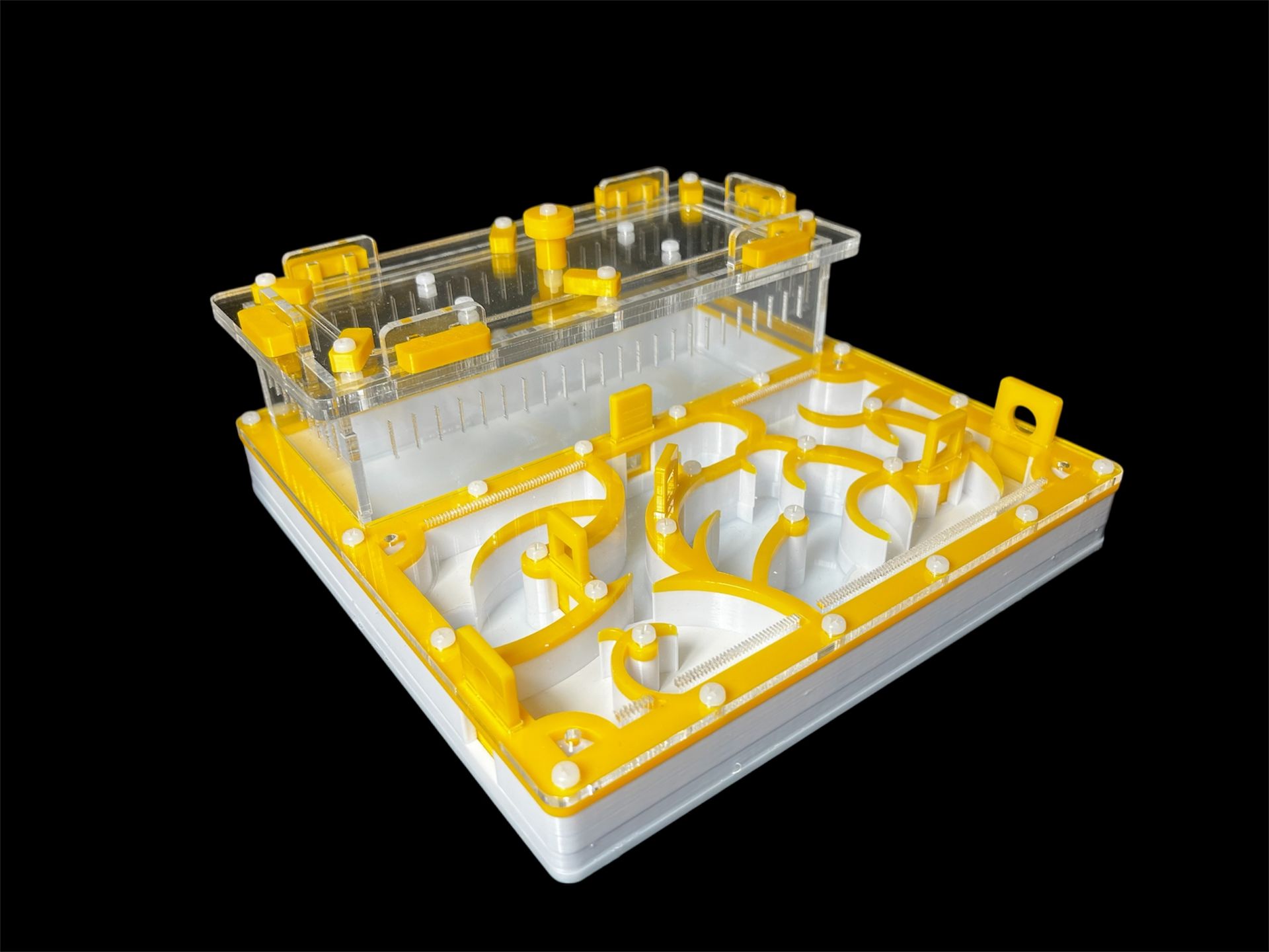 Професійна ферма для мурах 20х20 см. Гіпсова основа, ідеально для Camponotus та Messor