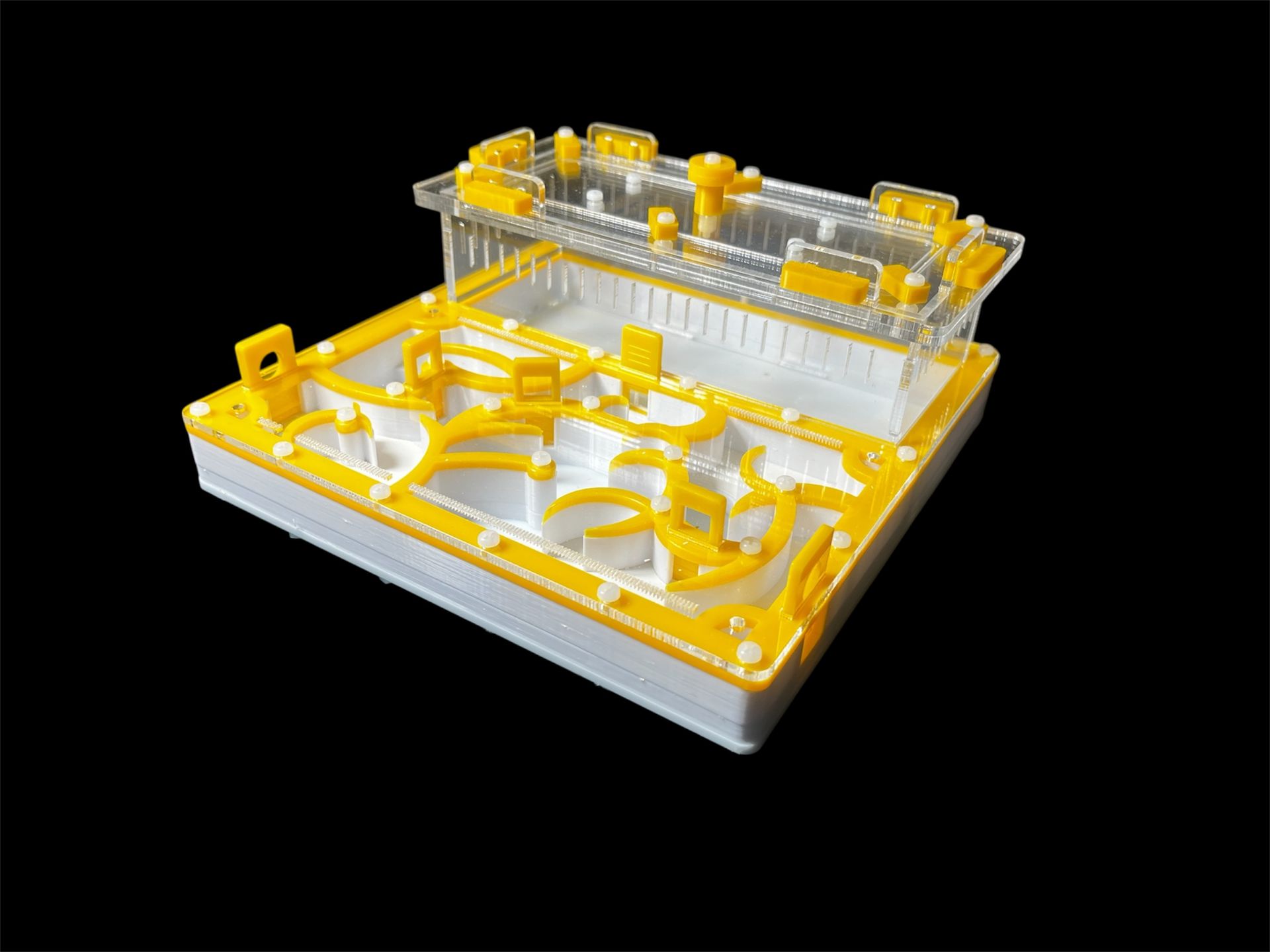 Професійна ферма для мурах 20х20 см. Гіпсова основа, ідеально для Camponotus та Messor