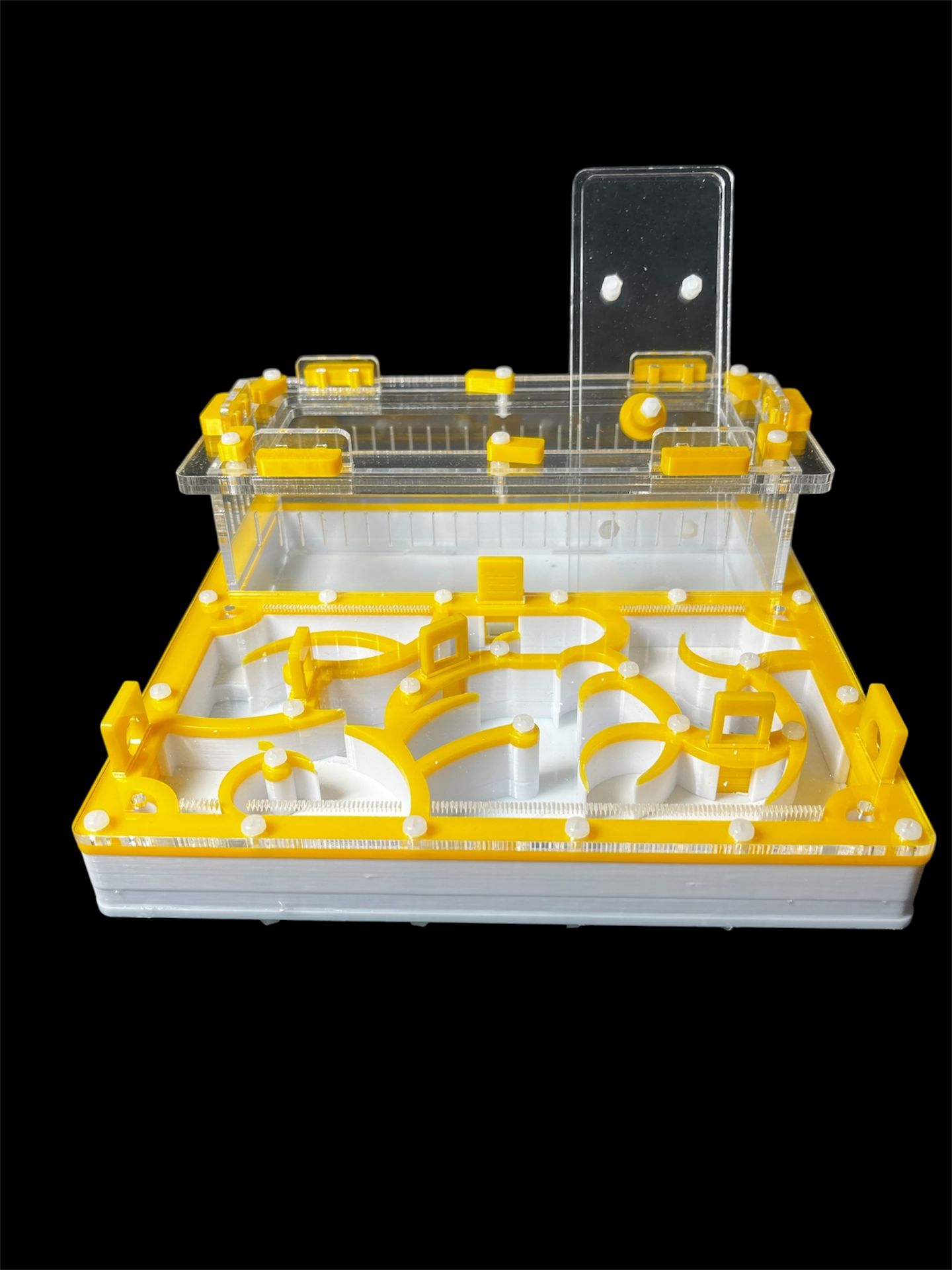 Професійна ферма для мурах 20х20 см. Гіпсова основа, ідеально для Camponotus та Messor