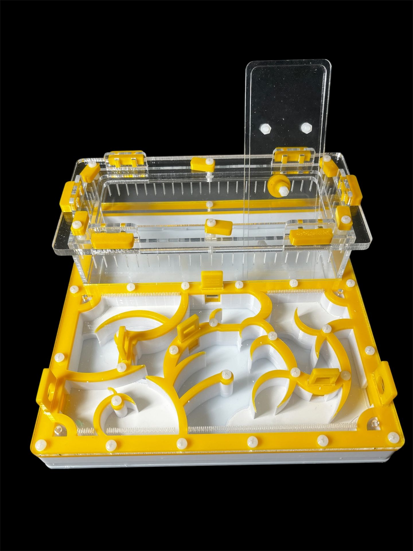 Професійна ферма для мурах 20х20 см. Гіпсова основа, ідеально для Camponotus та Messor