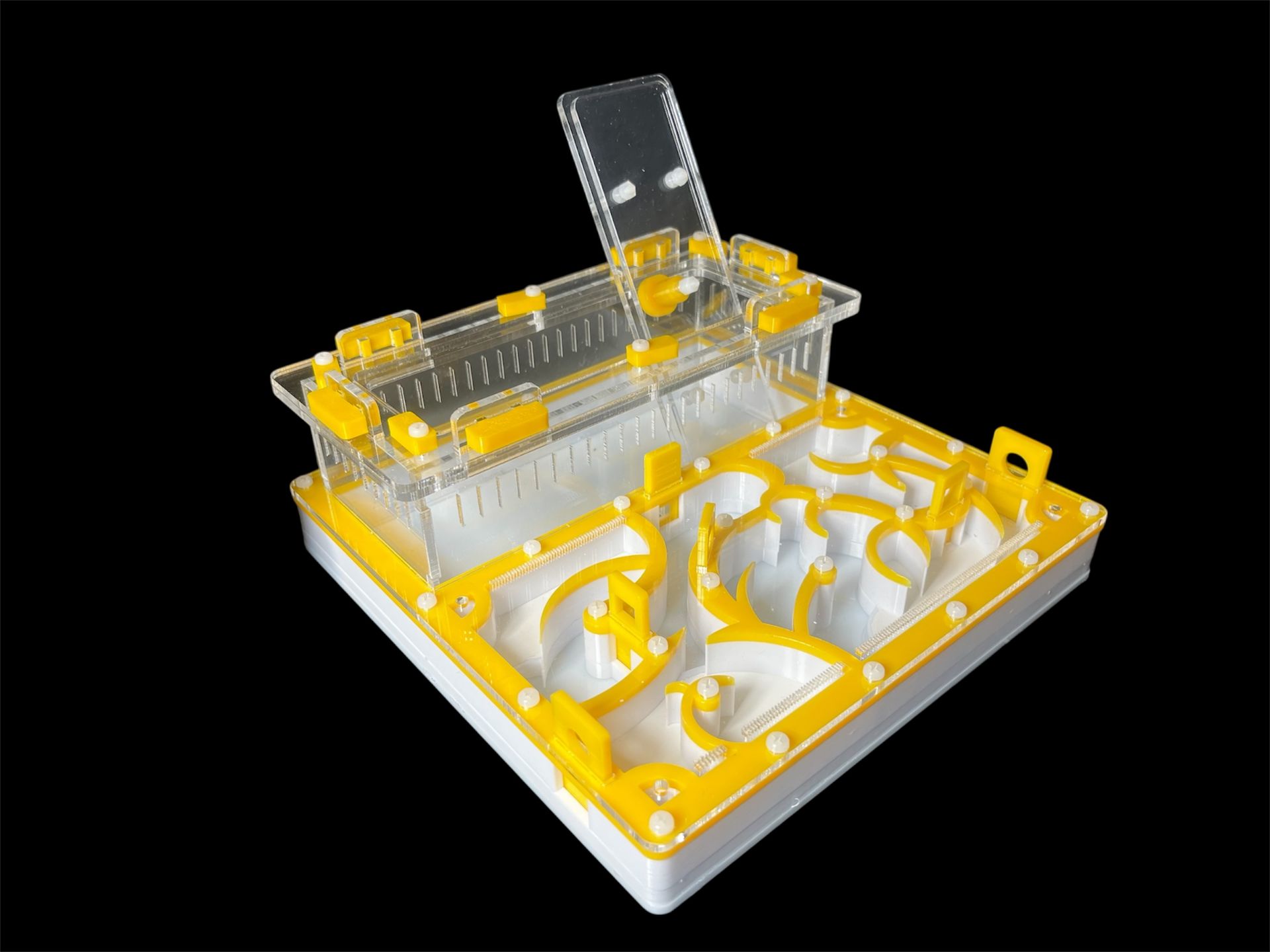 Професійна ферма для мурах 20х20 см. Гіпсова основа, ідеально для Camponotus та Messor