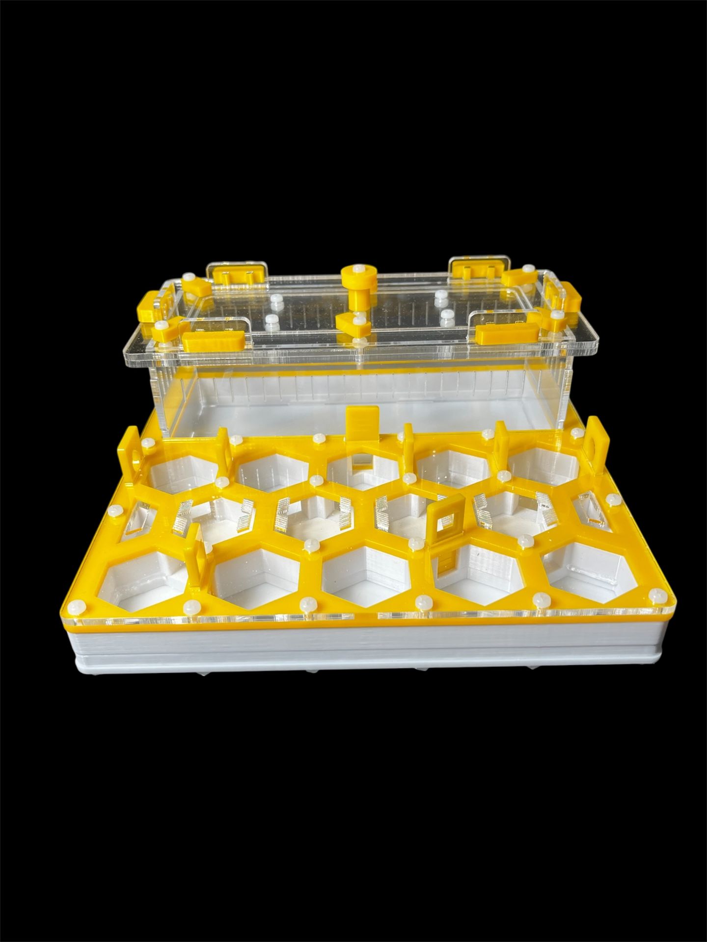 Купити формикарій "Соти" 20 х 20 см жовтий для мурах Camponotus та messor