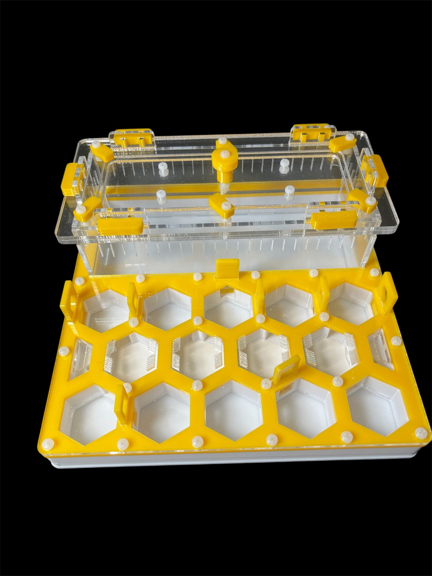 Купити формикарій "Соти" 20 х 20 см жовтий для мурах Camponotus та messor