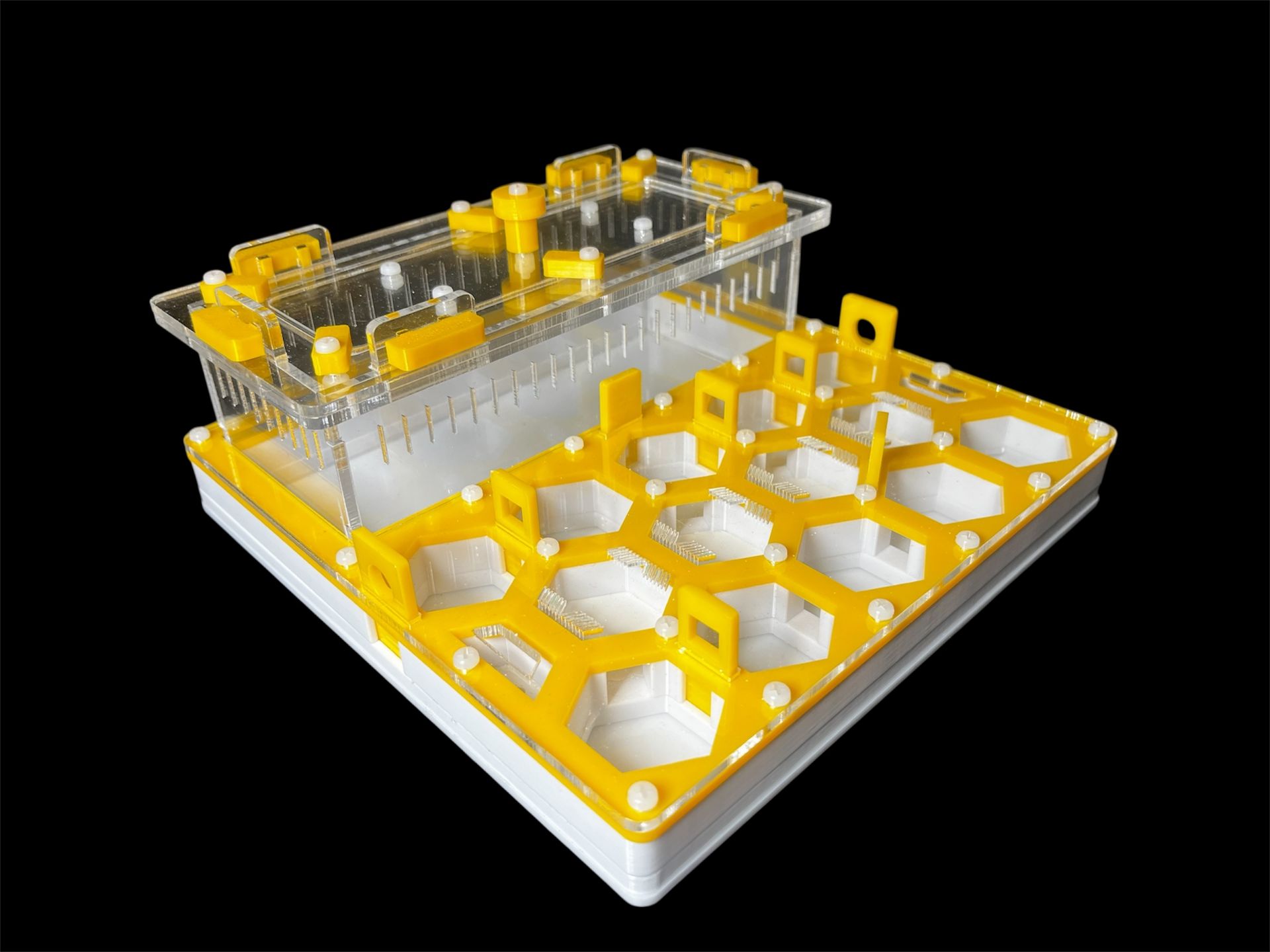 Купити формикарій "Соти" 20 х 20 см жовтий для мурах Camponotus та messor