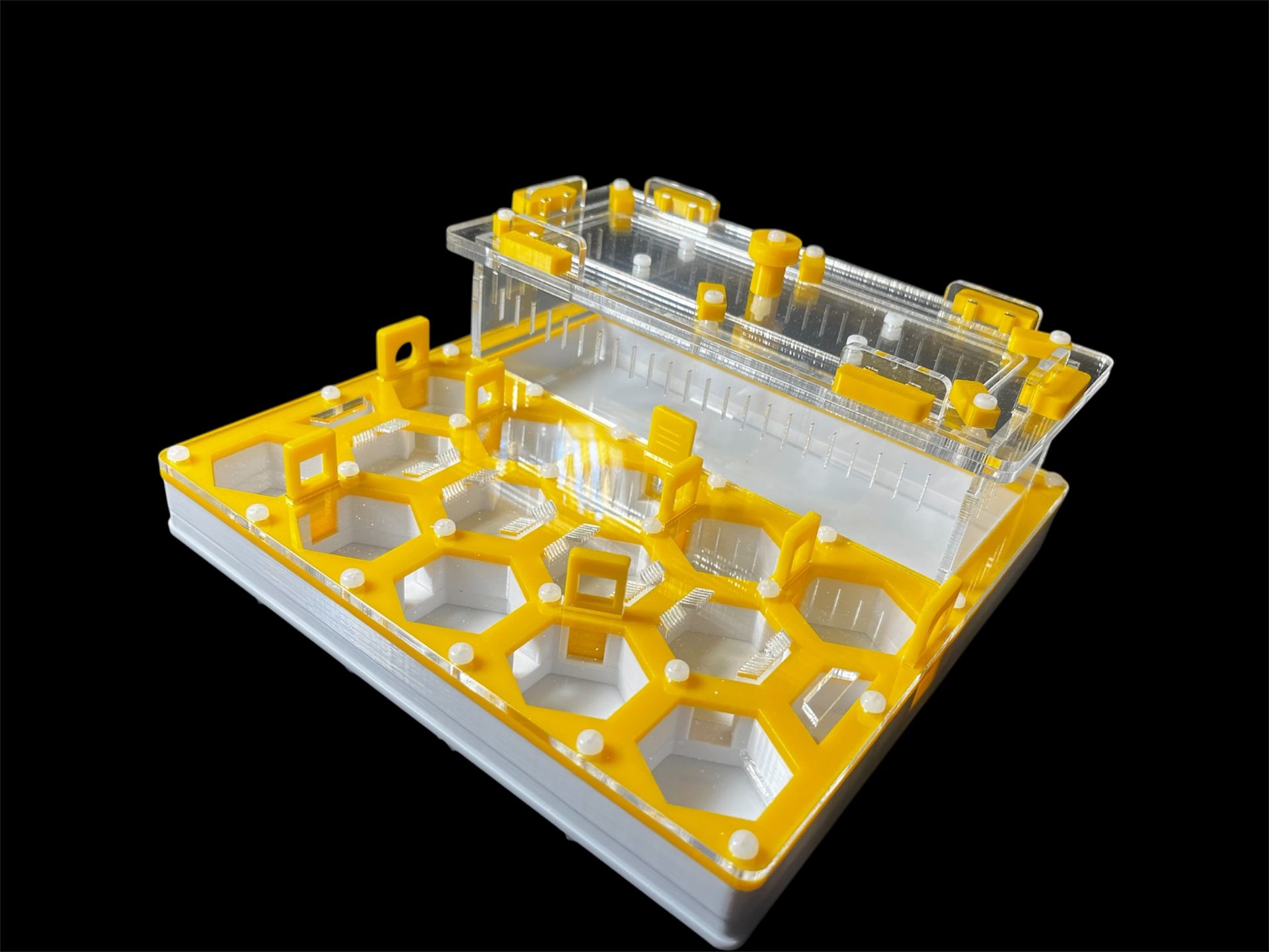 Купити формикарій "Соти" 20 х 20 см жовтий для мурах Camponotus та messor