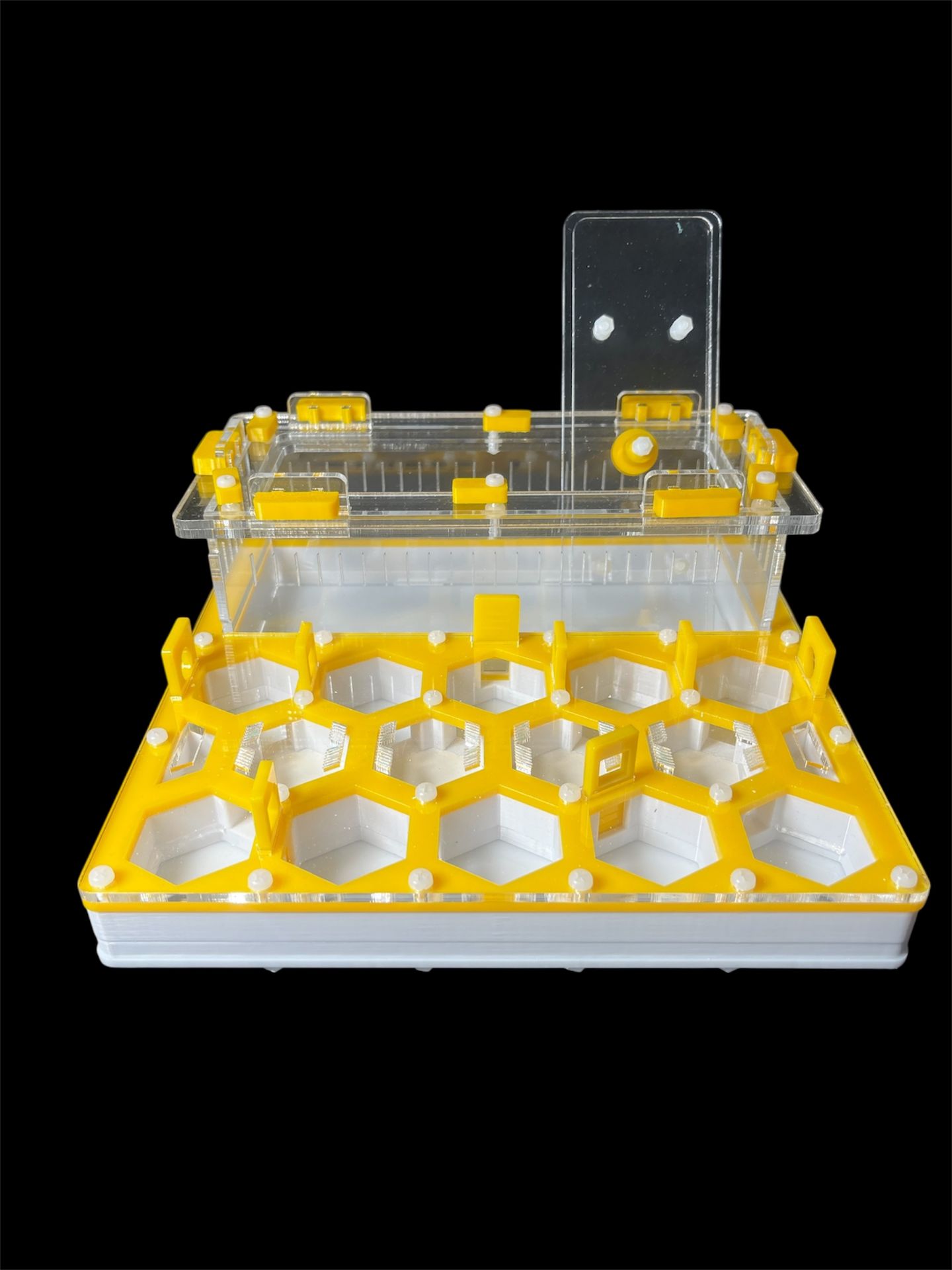 Купити формикарій "Соти" 20 х 20 см жовтий для мурах Camponotus та messor