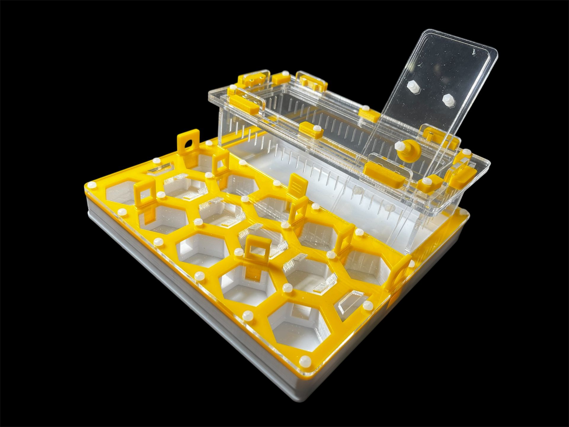 Купити формикарій "Соти" 20 х 20 см жовтий для мурах Camponotus та messor