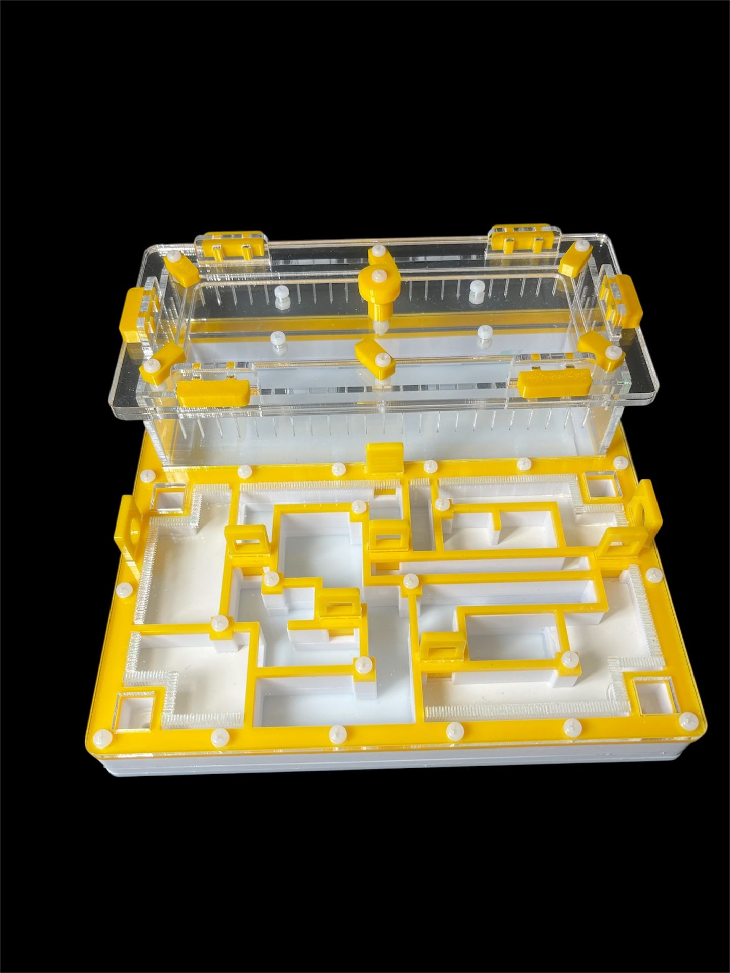 Профессиональный формикарий лабиринт с гипсом Г23 - 5 изолированных секций для колонии