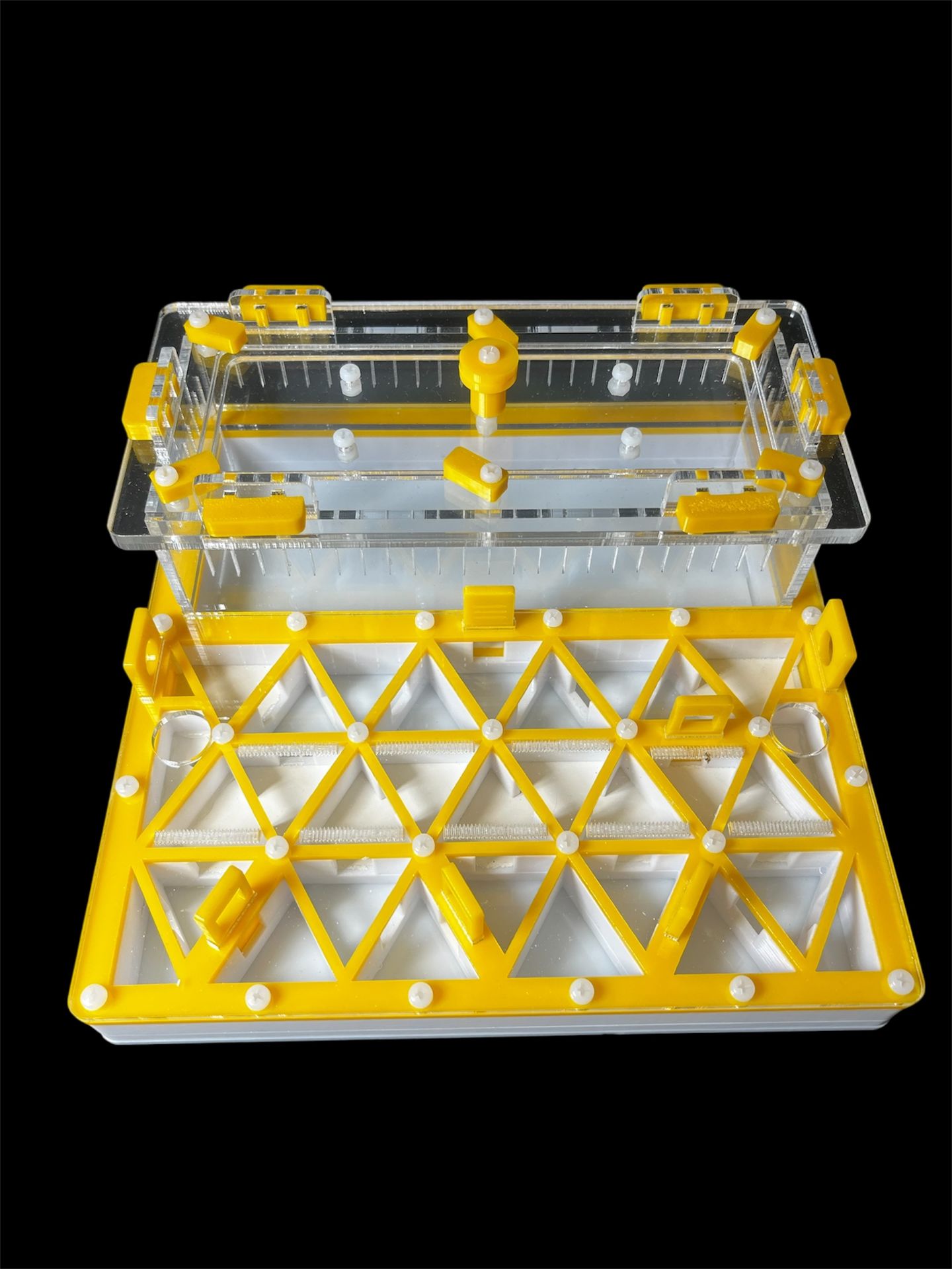 Желтый профессиональнй формикарий с автоувлажнением - 2 зоны увлажнения, доставка по Украине