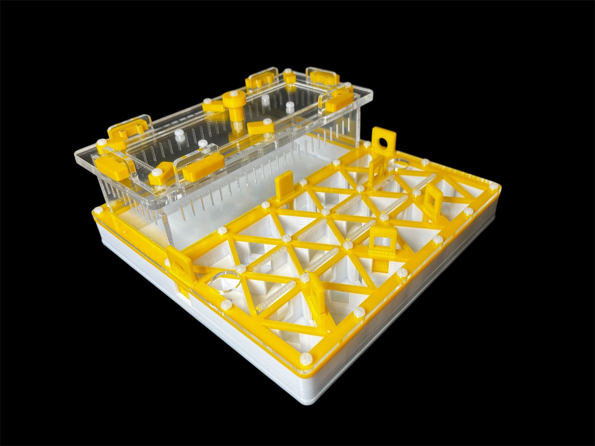 Желтый профессиональнй формикарий с автоувлажнением - 2 зоны увлажнения, доставка по Украине