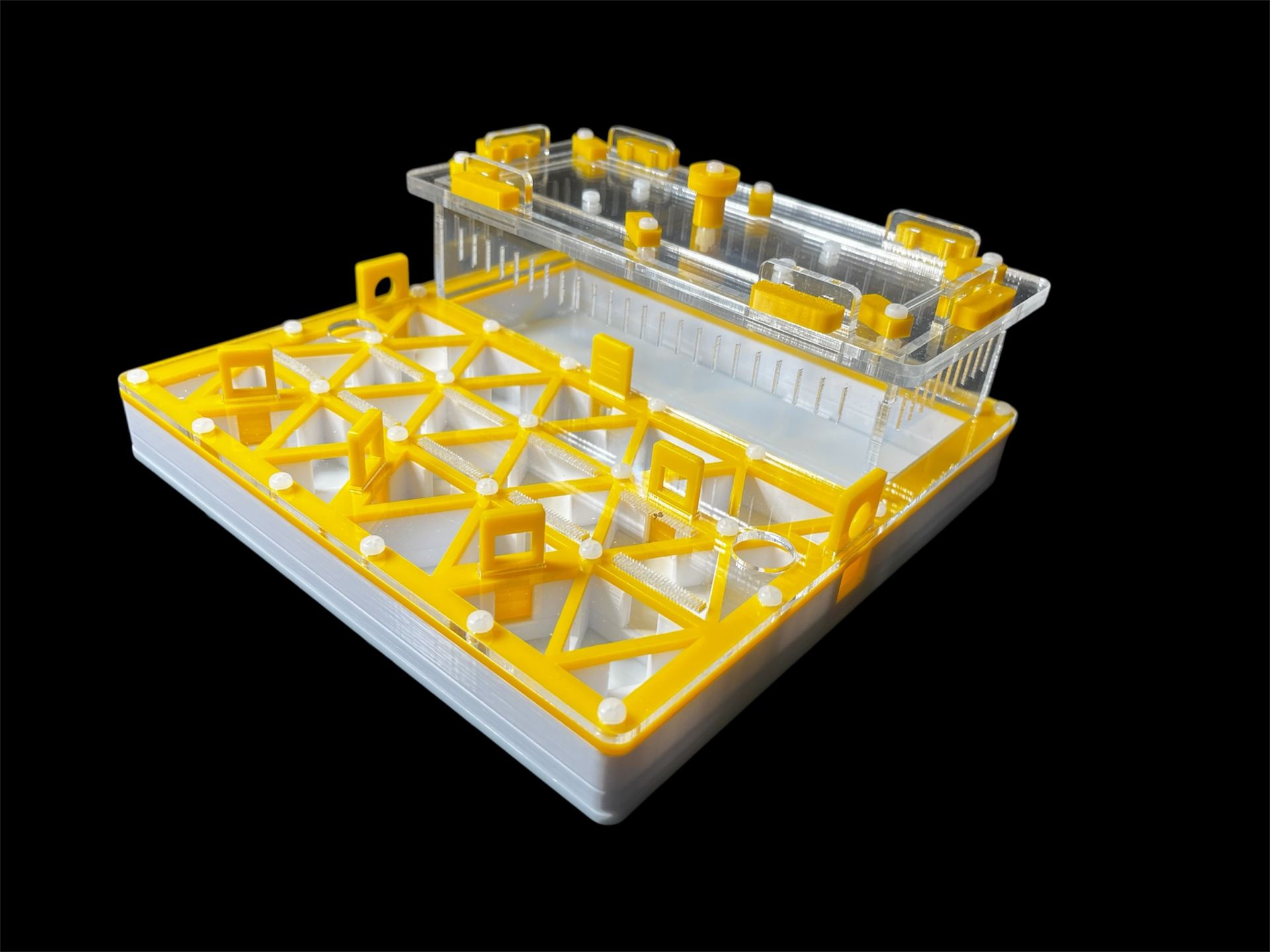 Желтый профессиональнй формикарий с автоувлажнением - 2 зоны увлажнения, доставка по Украине