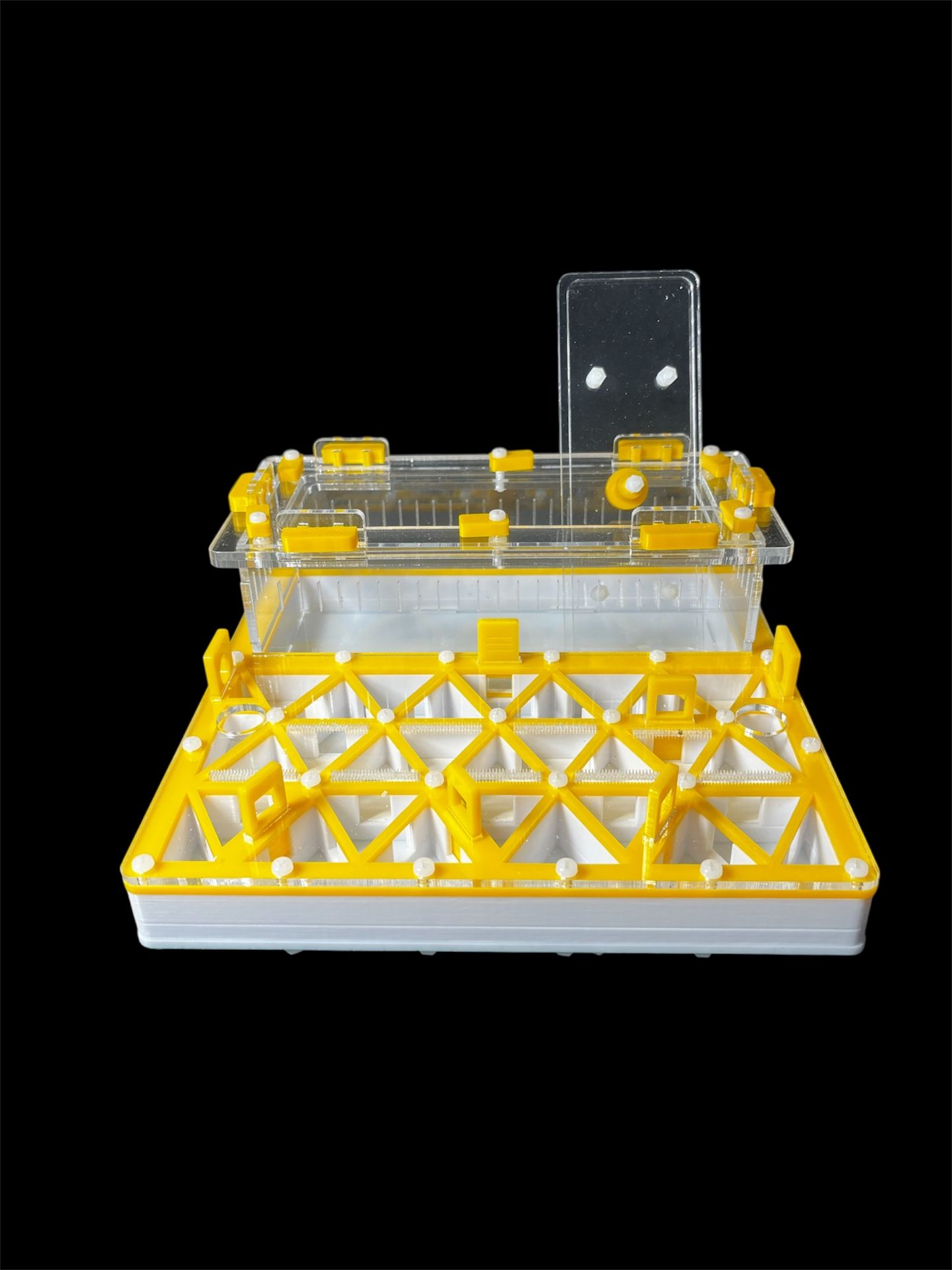 Желтый профессиональнй формикарий с автоувлажнением - 2 зоны увлажнения, доставка по Украине