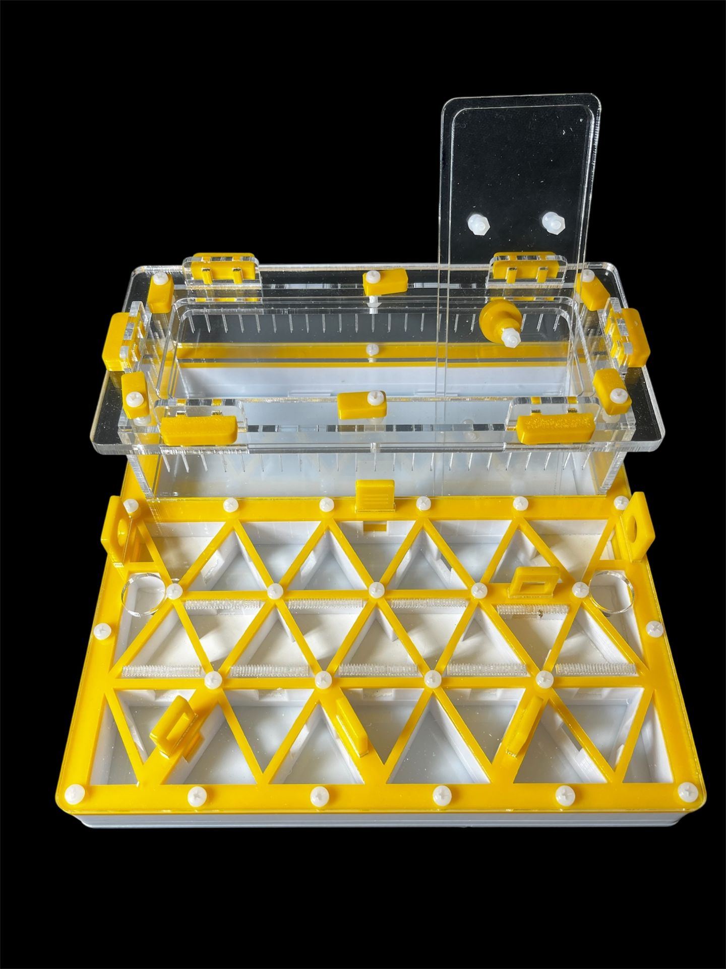 Желтый профессиональнй формикарий с автоувлажнением - 2 зоны увлажнения, доставка по Украине