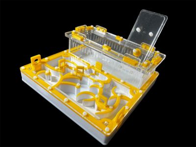 Професійна ферма для мурах 20х20 см. Гіпсова основа, ідеально для Camponotus та Messor