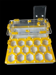 Купити формикарій "Соти" 20 х 20 см жовтий для мурах Camponotus та messor