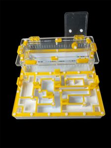 Профессиональный формикарий лабиринт с гипсом Г23 - 5 изолированных секций для колонии