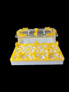 Профессиональный формикарий лабиринт с гипсом Г23 - 5 изолированных секций для колонии