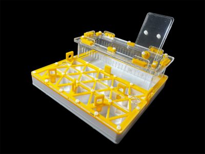 Желтый профессиональнй формикарий с автоувлажнением - 2 зоны увлажнения, доставка по Украине