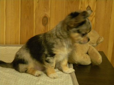 Шикарний хлопчик на ім'я Крош