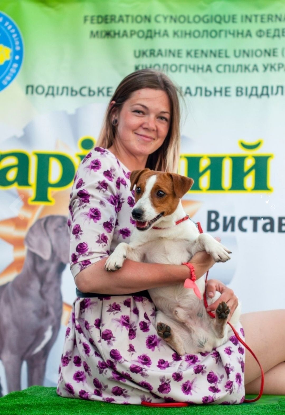 В'язка кобель Джек Рассел тер'єр КСУ