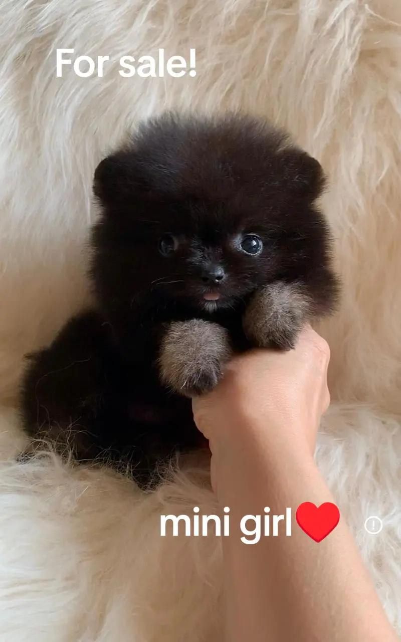 Супер мини девочка