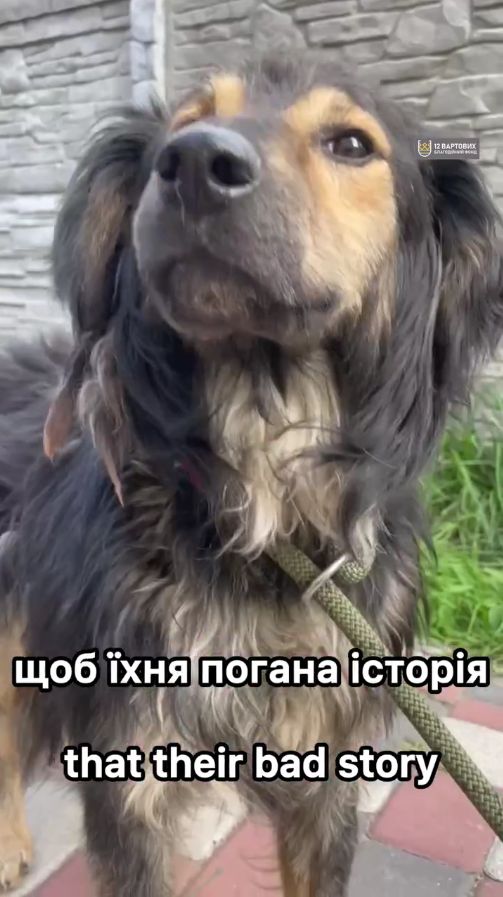 Пухнастий песик з Райського