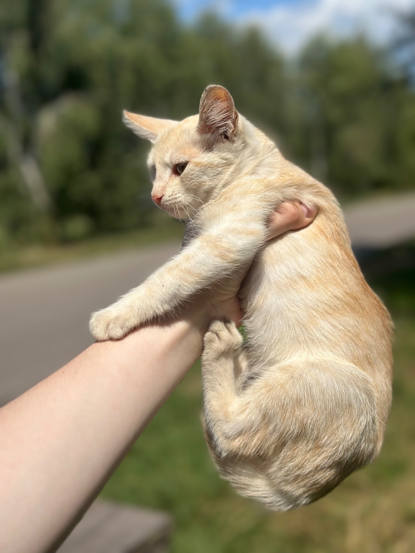 Шукає господарів!