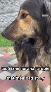 Пухнастий песик з Райського