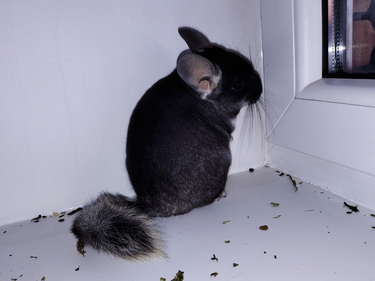 Чорний хлопчик 🖤