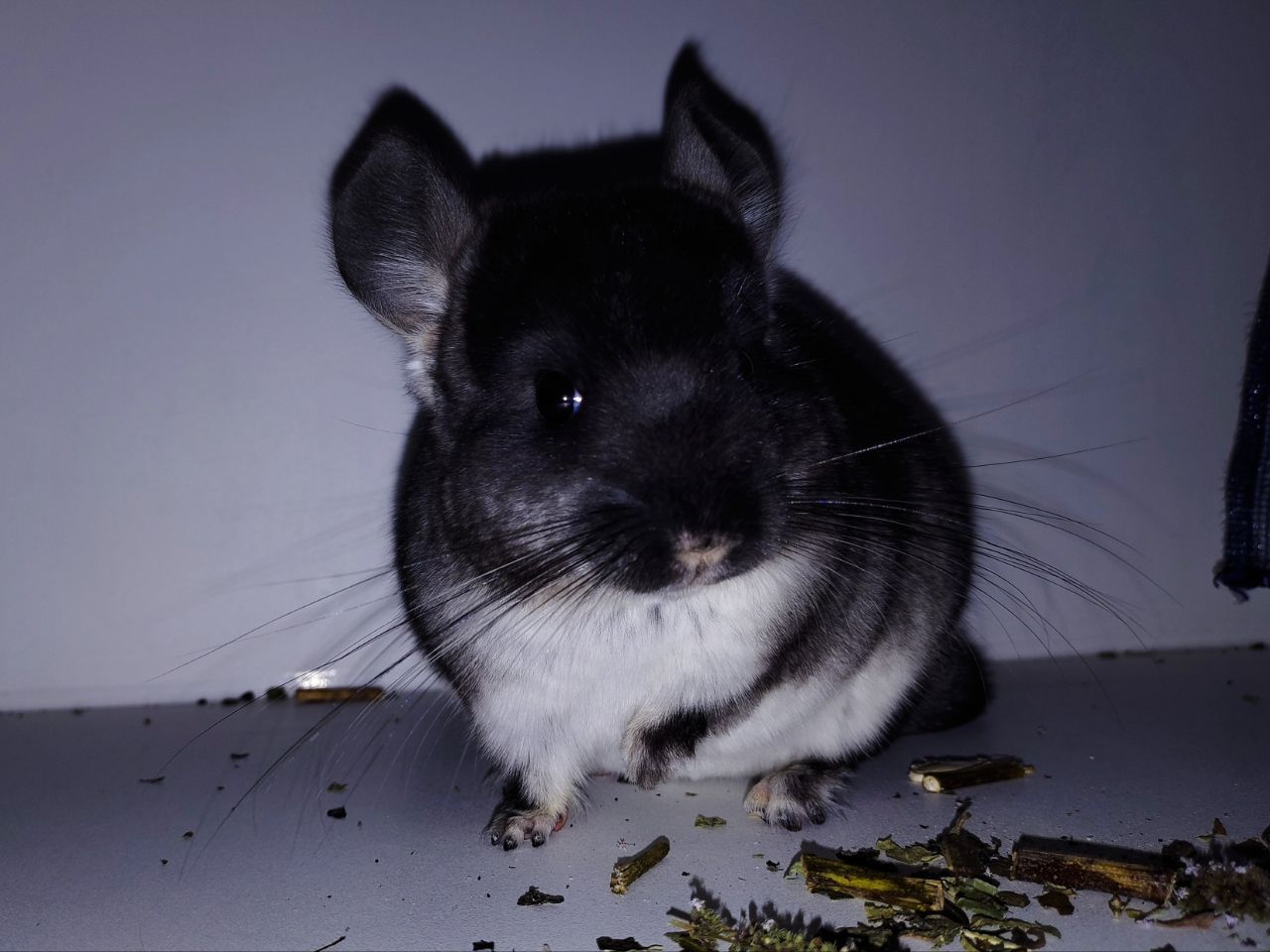 Чорний хлопчик 🖤