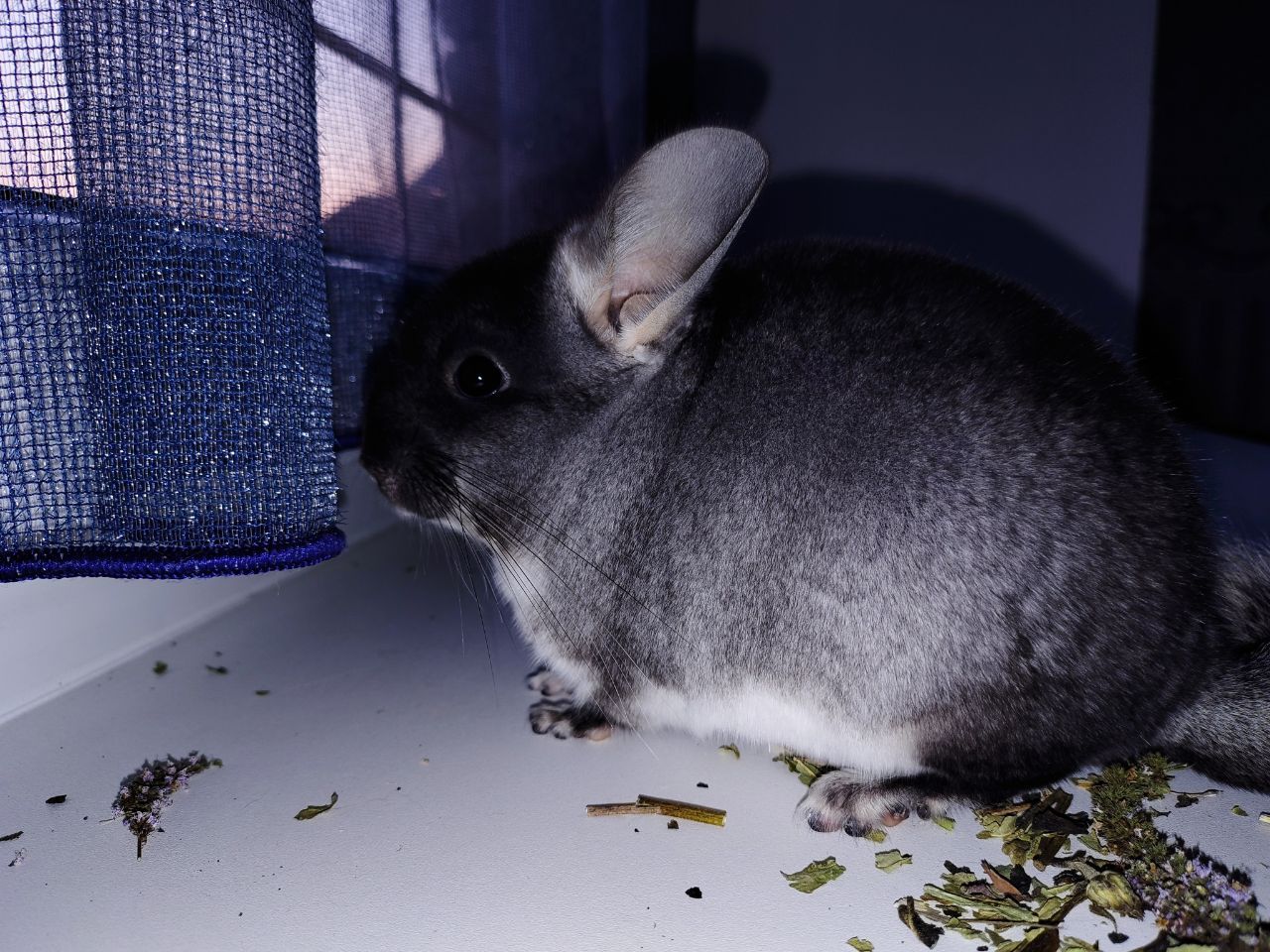 Чорний хлопчик 🖤