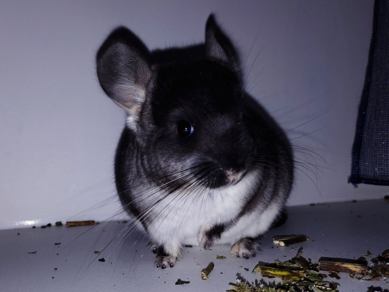 Чорний хлопчик 🖤