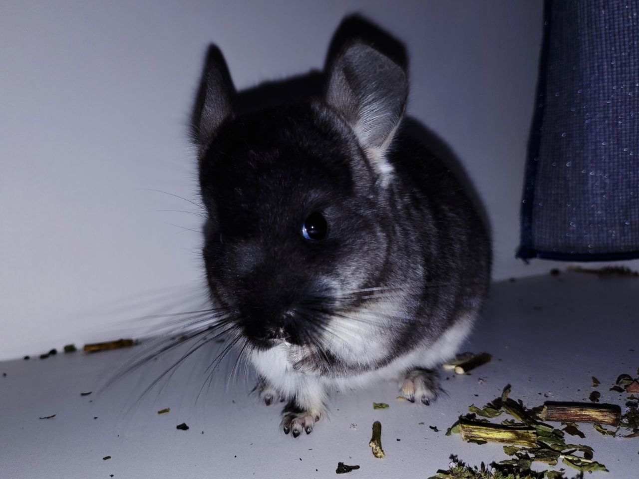 Чорний хлопчик 🖤