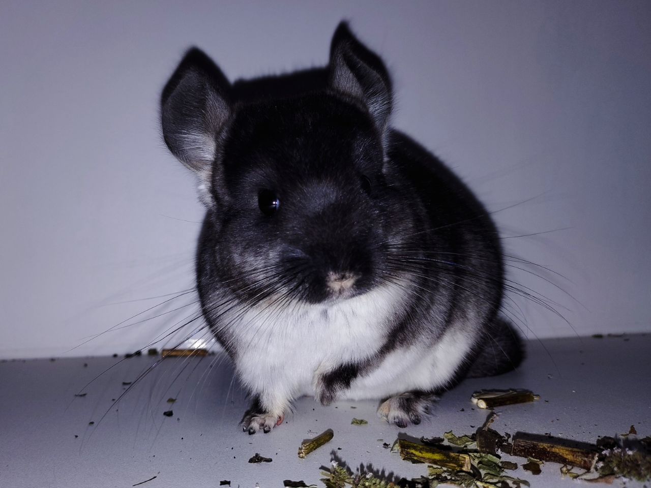 Чорний хлопчик 🖤