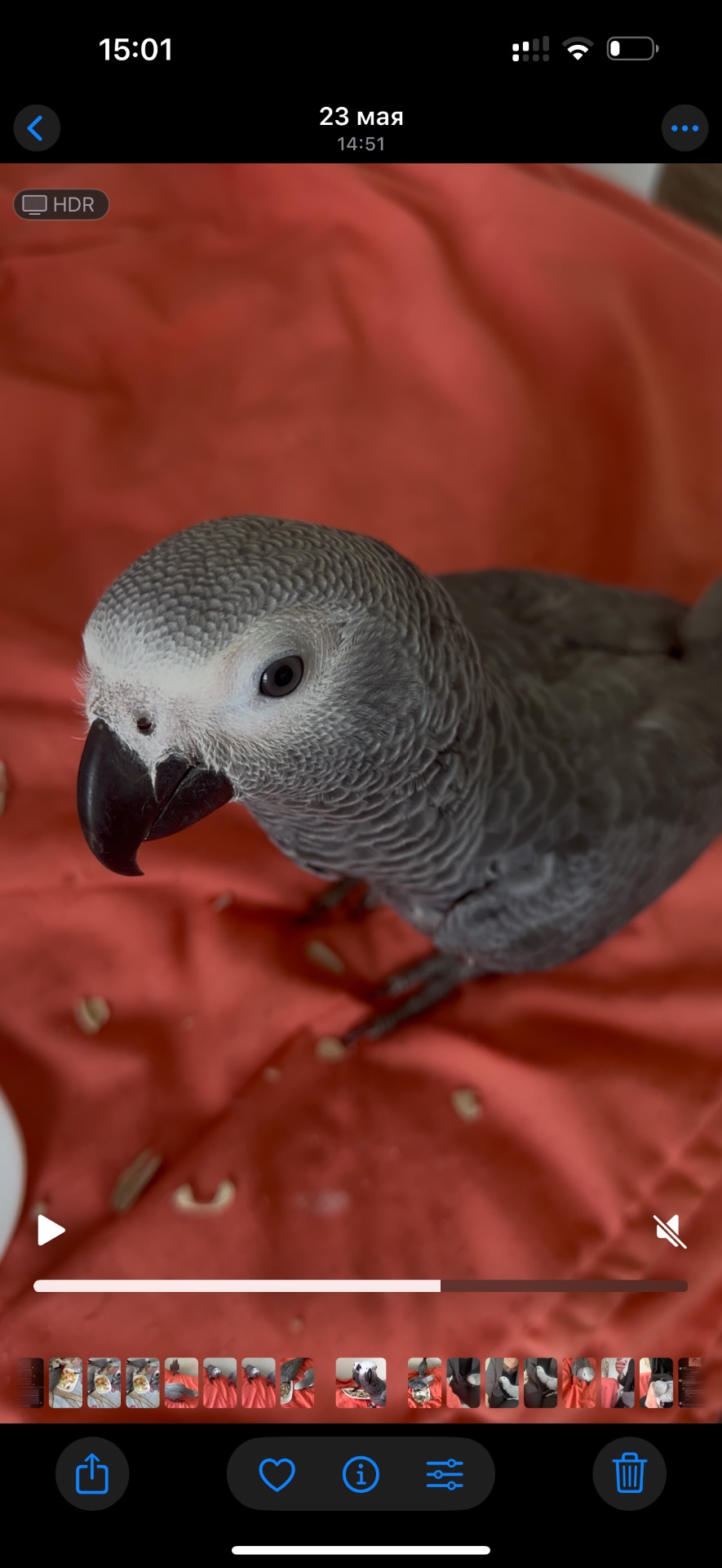 Жако