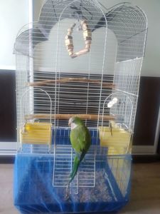 Монах