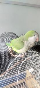 Монах
