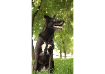 Неймовірна дівчинка чекає на своїх людей