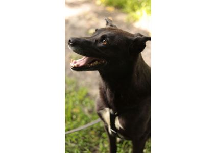 Неймовірна дівчинка чекає на своїх людей