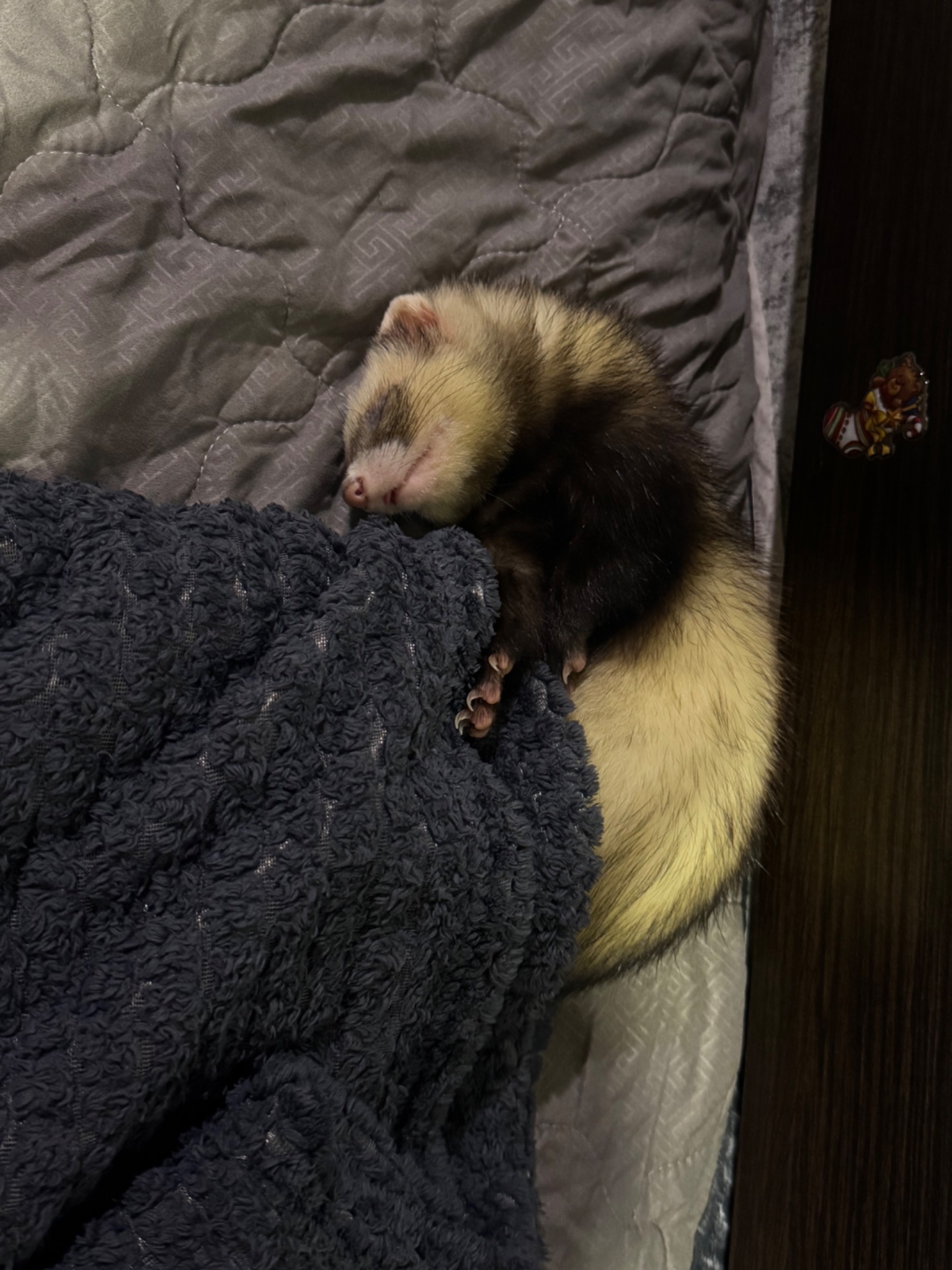 Тхорики 2 дівчинки