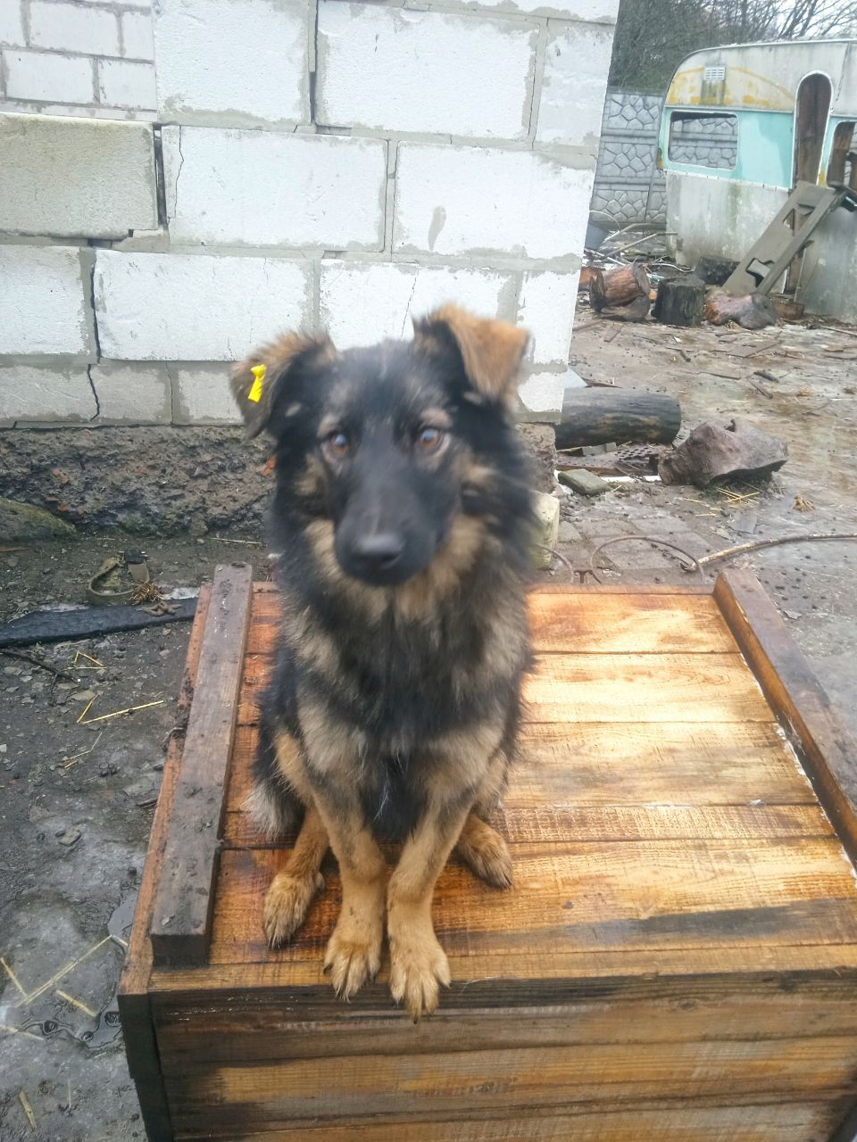 В Гарні руки