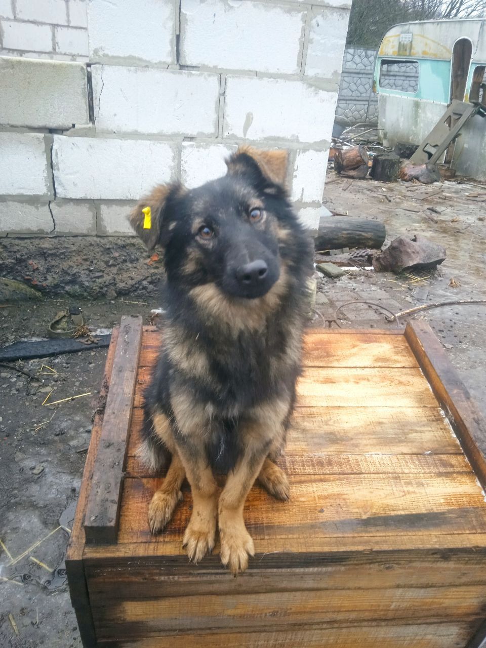 В Гарні руки