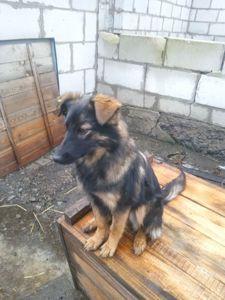 В Гарні руки