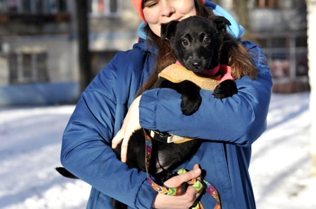 Маленька Чупсі шукає люблячу сім'ю