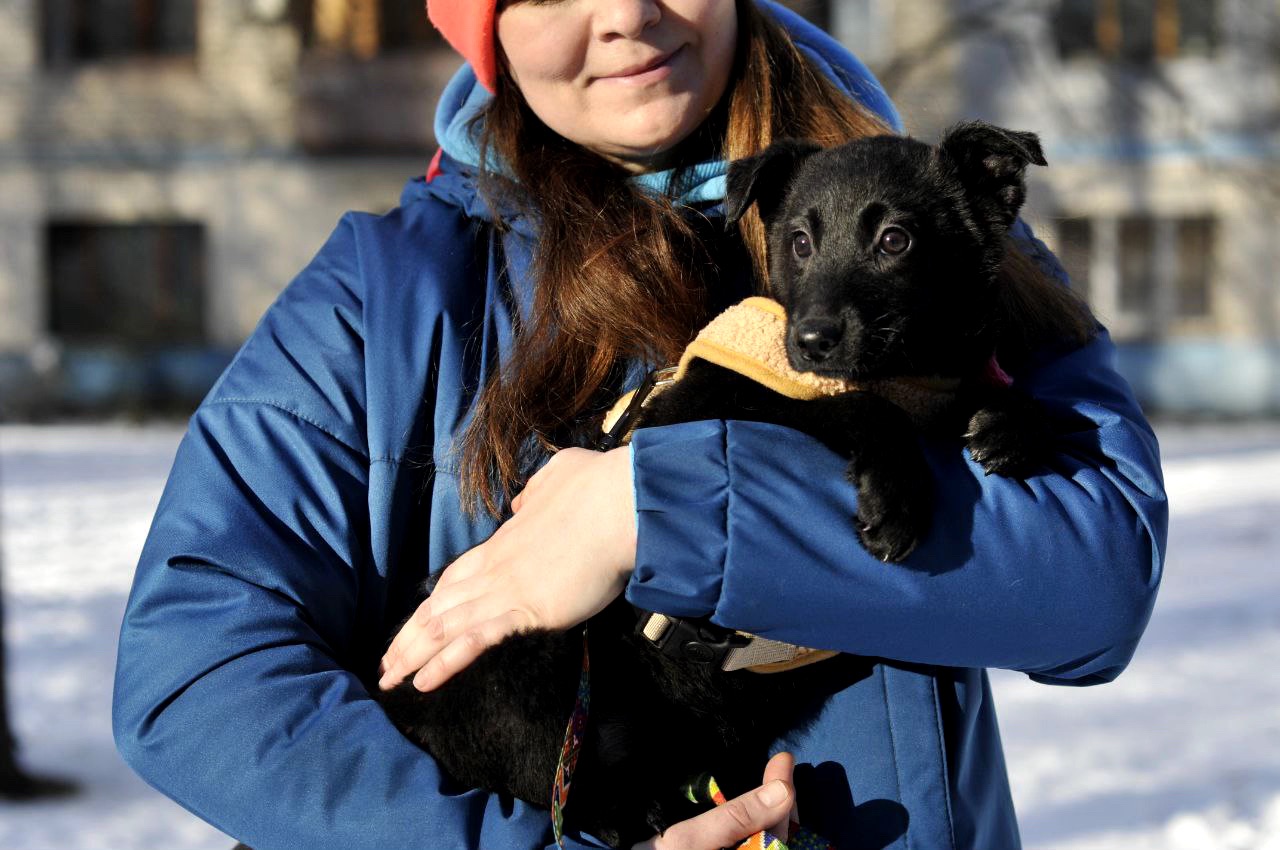 Маленька Чупсі шукає люблячу сім'ю