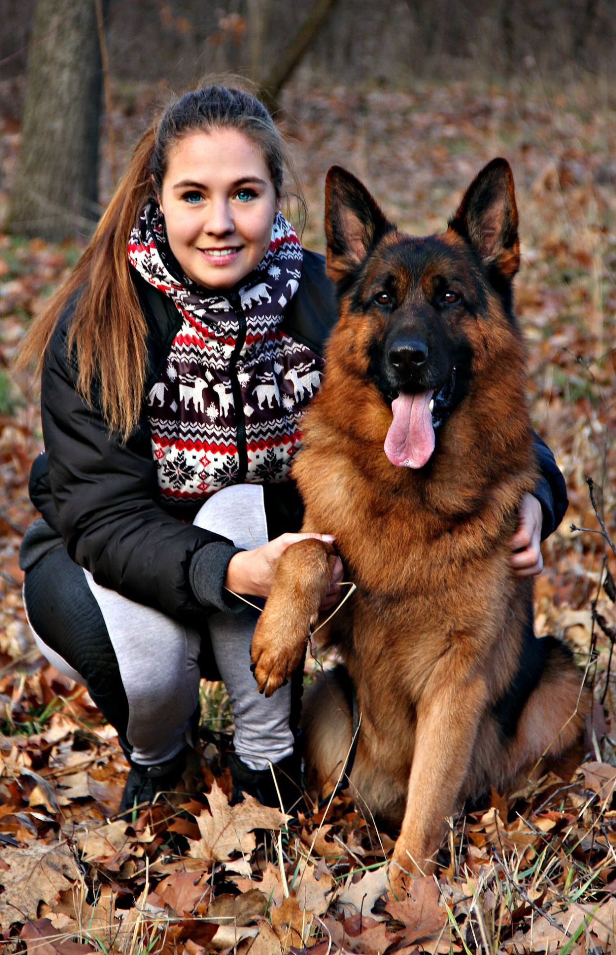 Розплідник німецьких вівчарок пропонує цуценят КСУ-FCI