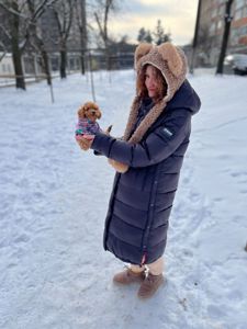 Дівченка той пудель дуже маленька