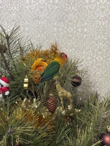 Неразлучники